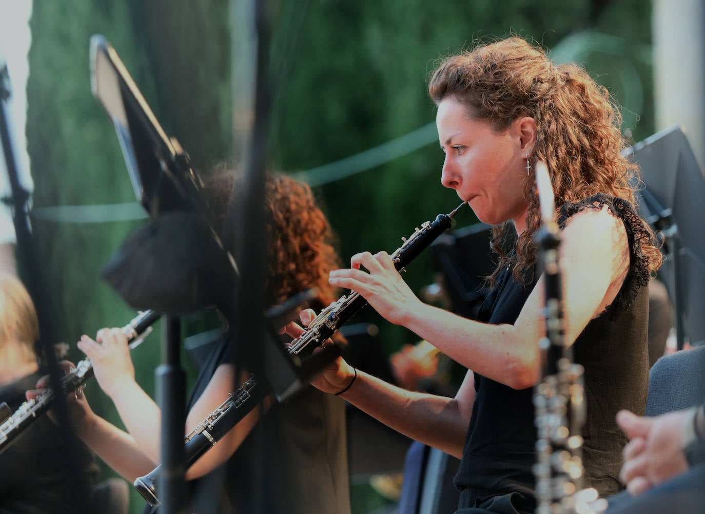 Fotos: La OSCyL felicita a la Catedral de Palencia en su séptimo centenario