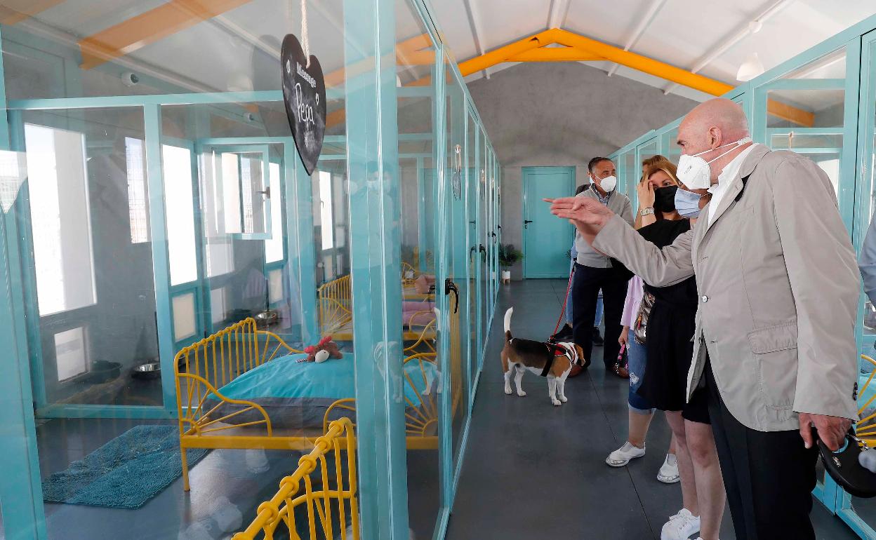 Carnero en la residencia canina de Palazuelo de Vedija (Valladolid). 