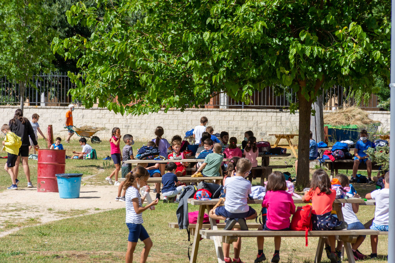 Fotos: El verano en los campamentos de Palencia