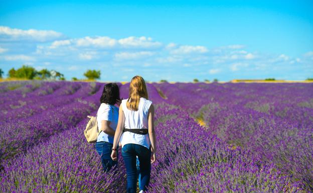 El colorido campo invita a los visitantes a hacerse una fotografía de recuerdo.