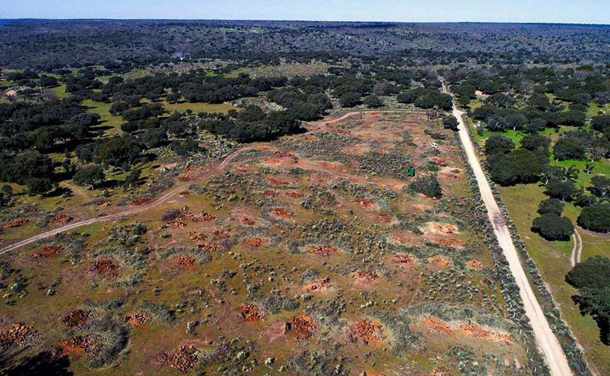 Zona en la que se iba a construir planta de tratamiento de uranio.