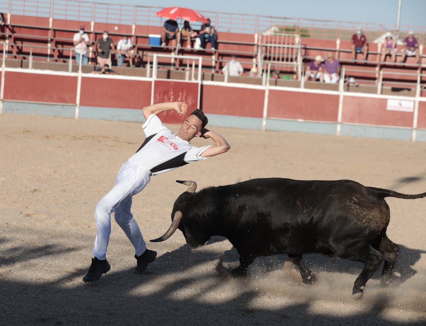 Fotos: Concurso de cortes en Cigales en honor a Santa Marina