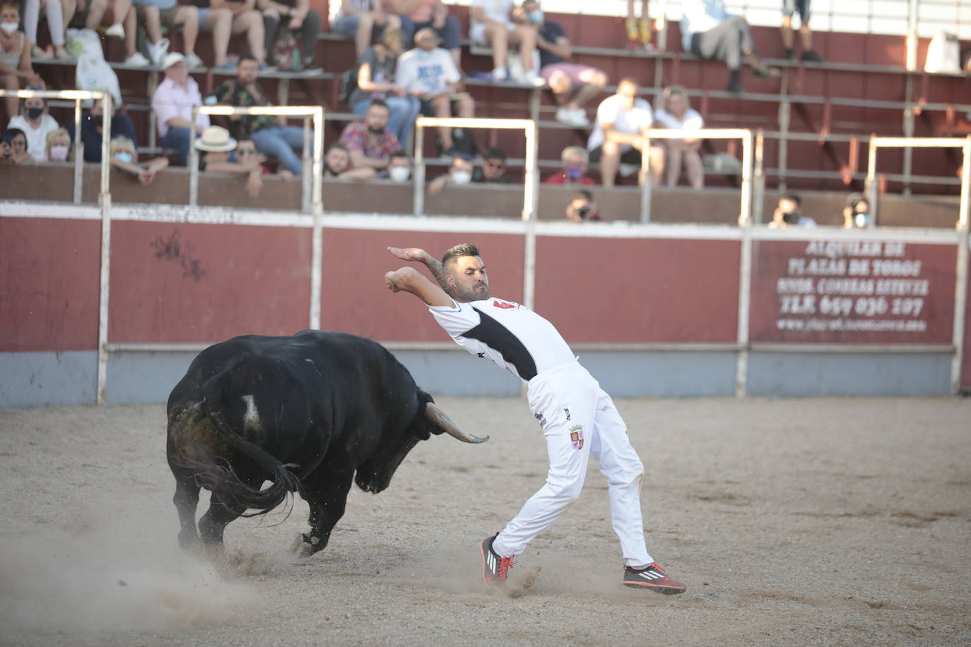 Fotos: Concurso de cortes en Cigales en honor a Santa Marina