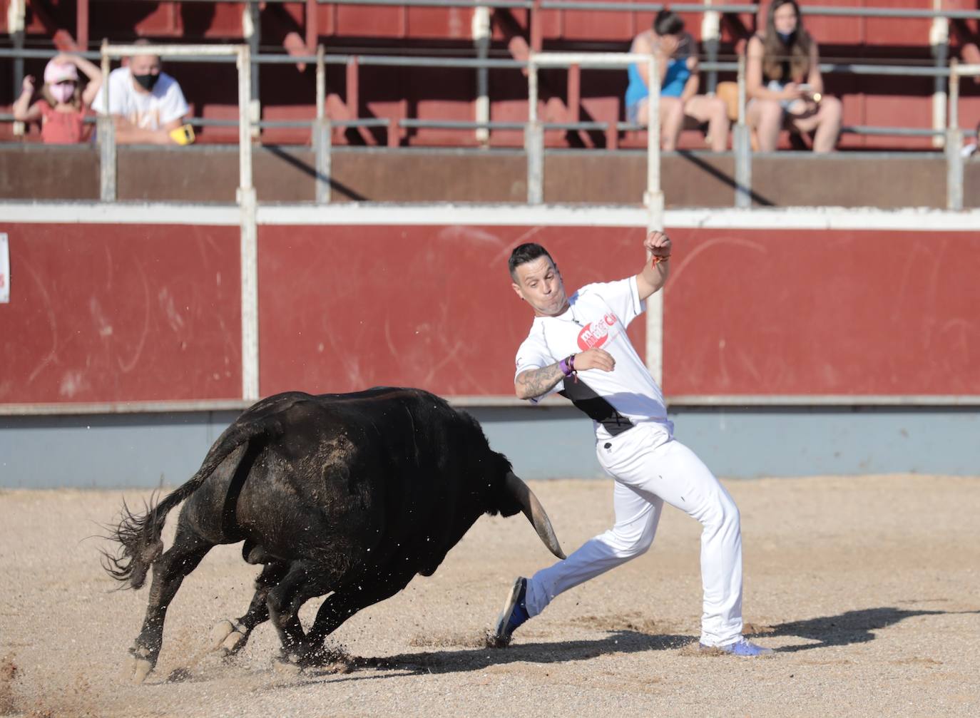 Fotos: Concurso de cortes en Cigales en honor a Santa Marina