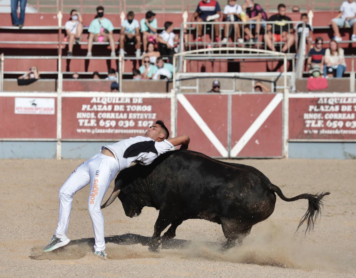 Fotos: Concurso de cortes en Cigales en honor a Santa Marina