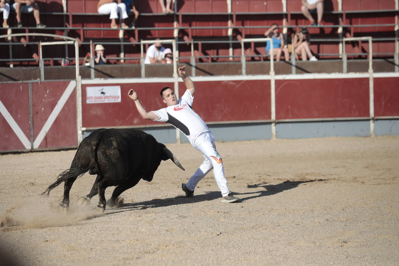 Fotos: Concurso de cortes en Cigales en honor a Santa Marina