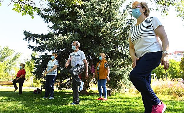 Personas mayores se ponen en forma al aire libre. 