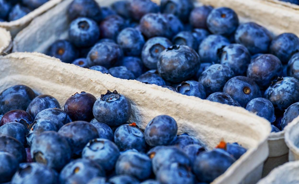 Arándano, un antibiótico natural para la orina