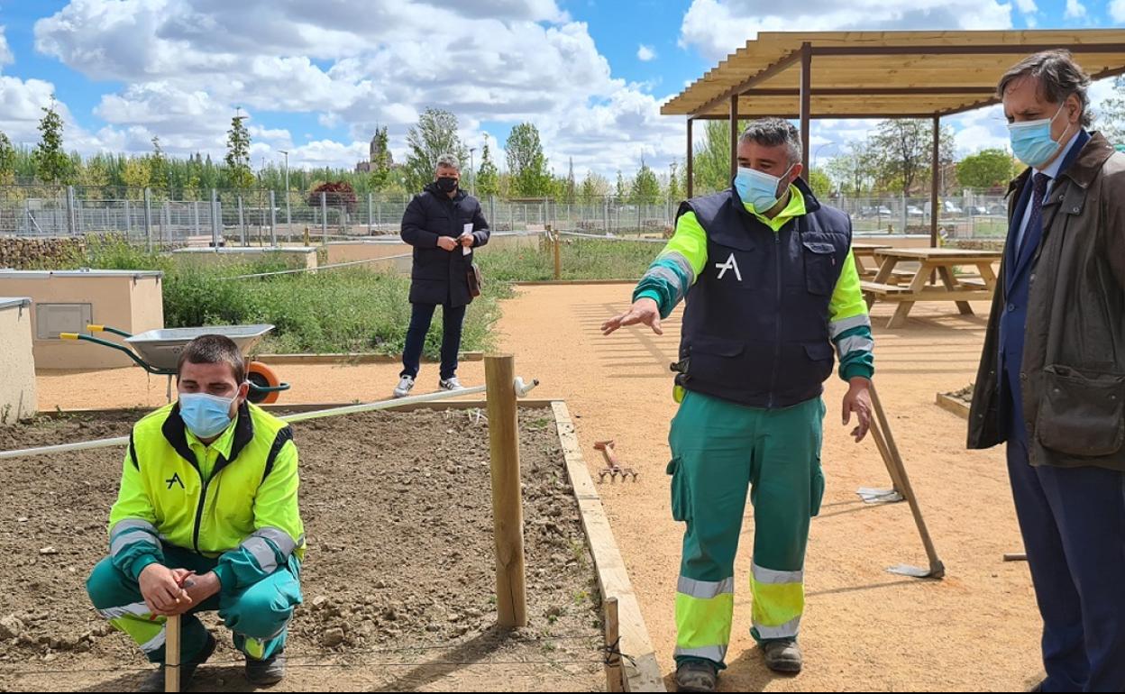Asprodes se encargará del mantenimiento de los huertos urbanos de Salamanca