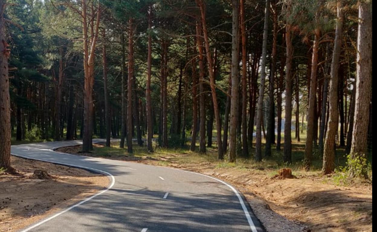 Carril bici