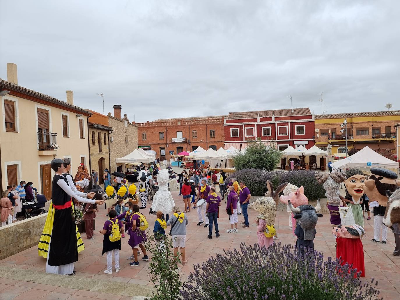 Fotos: La tradición se recupera en Cisneros