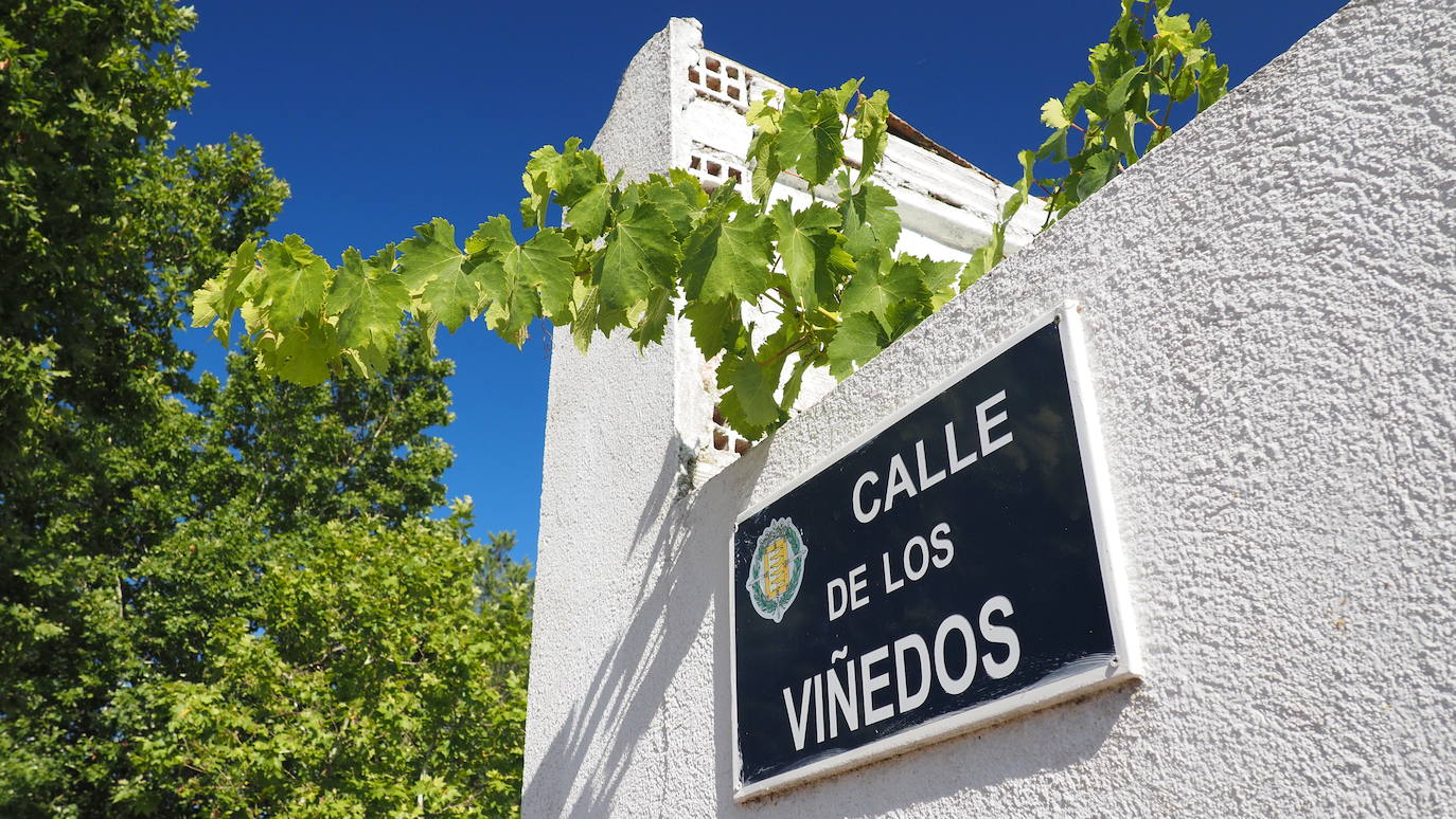 Desde el año 1960 se considera barrio de Valladolid, a pesar de situarse a exactamente 11 kilómetros de la capital