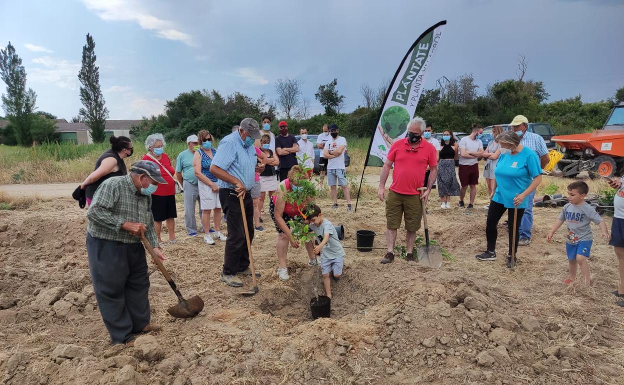 Cerca de 1.400 personas y 58 municipios han participado en el proyecto Arbolar 21 de La Salina