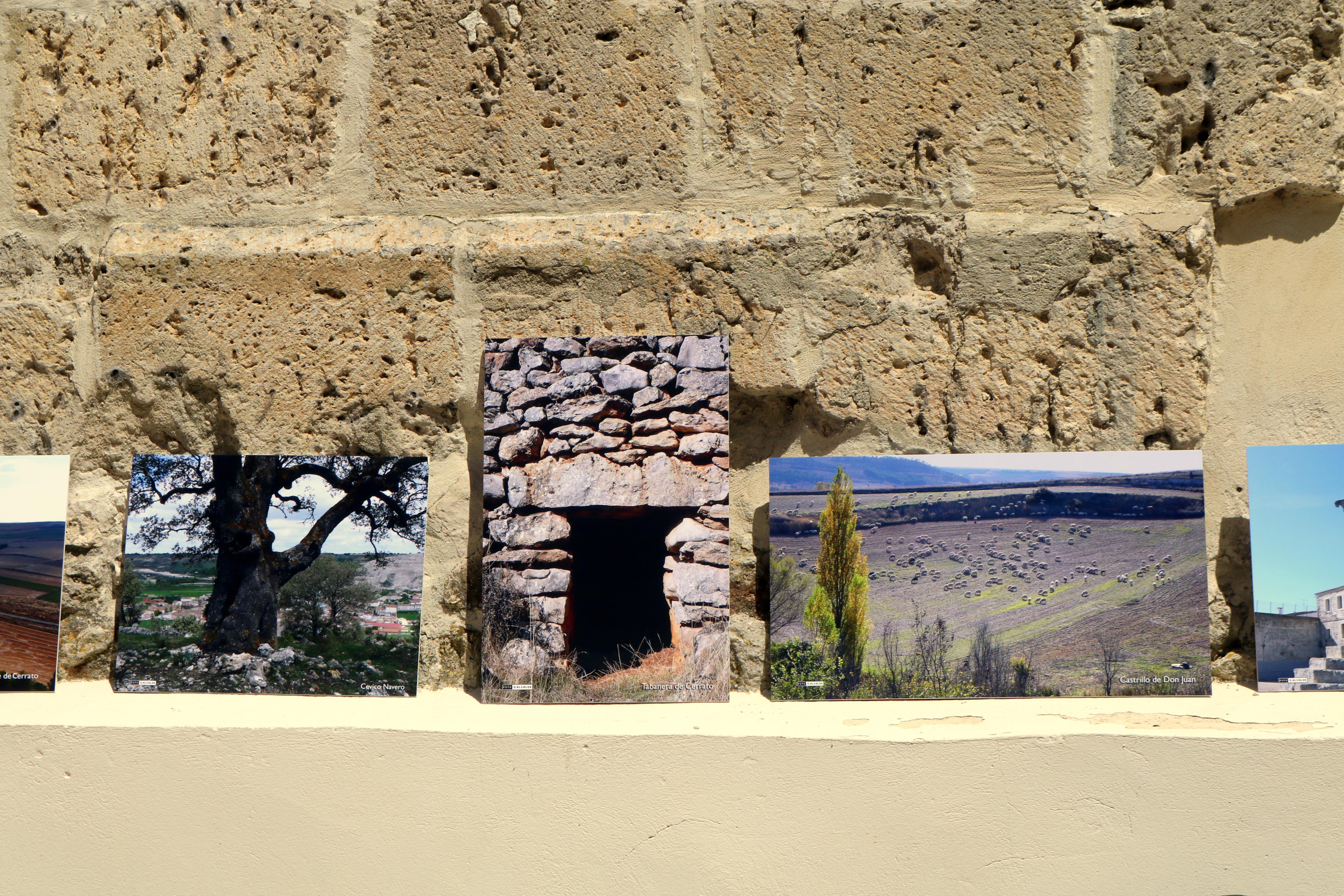 Baltanás recuerda a Gonzalo Alcalde Crespo