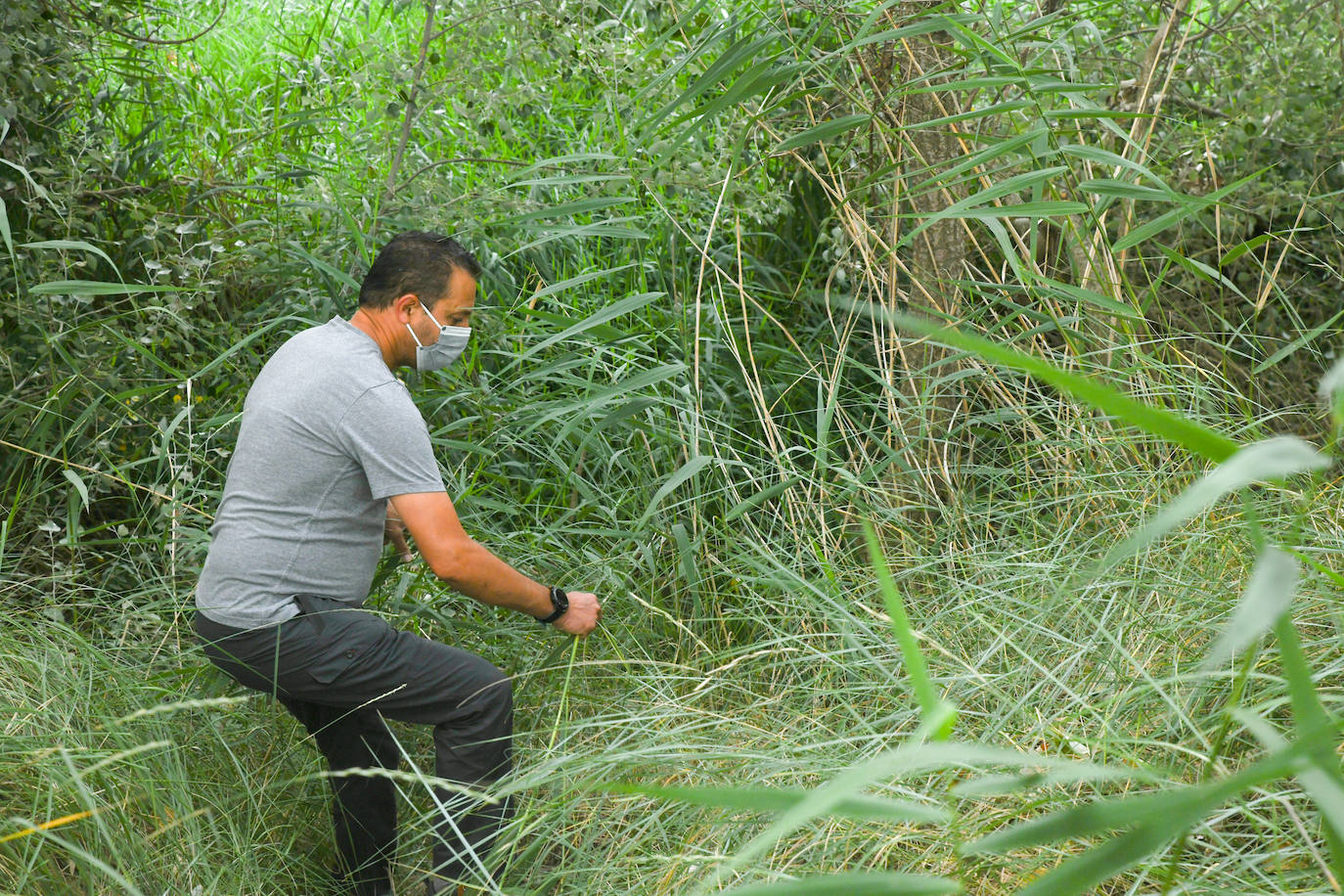 Fotos: Batida en Tordesillas para encontrar al anciano desaparecido