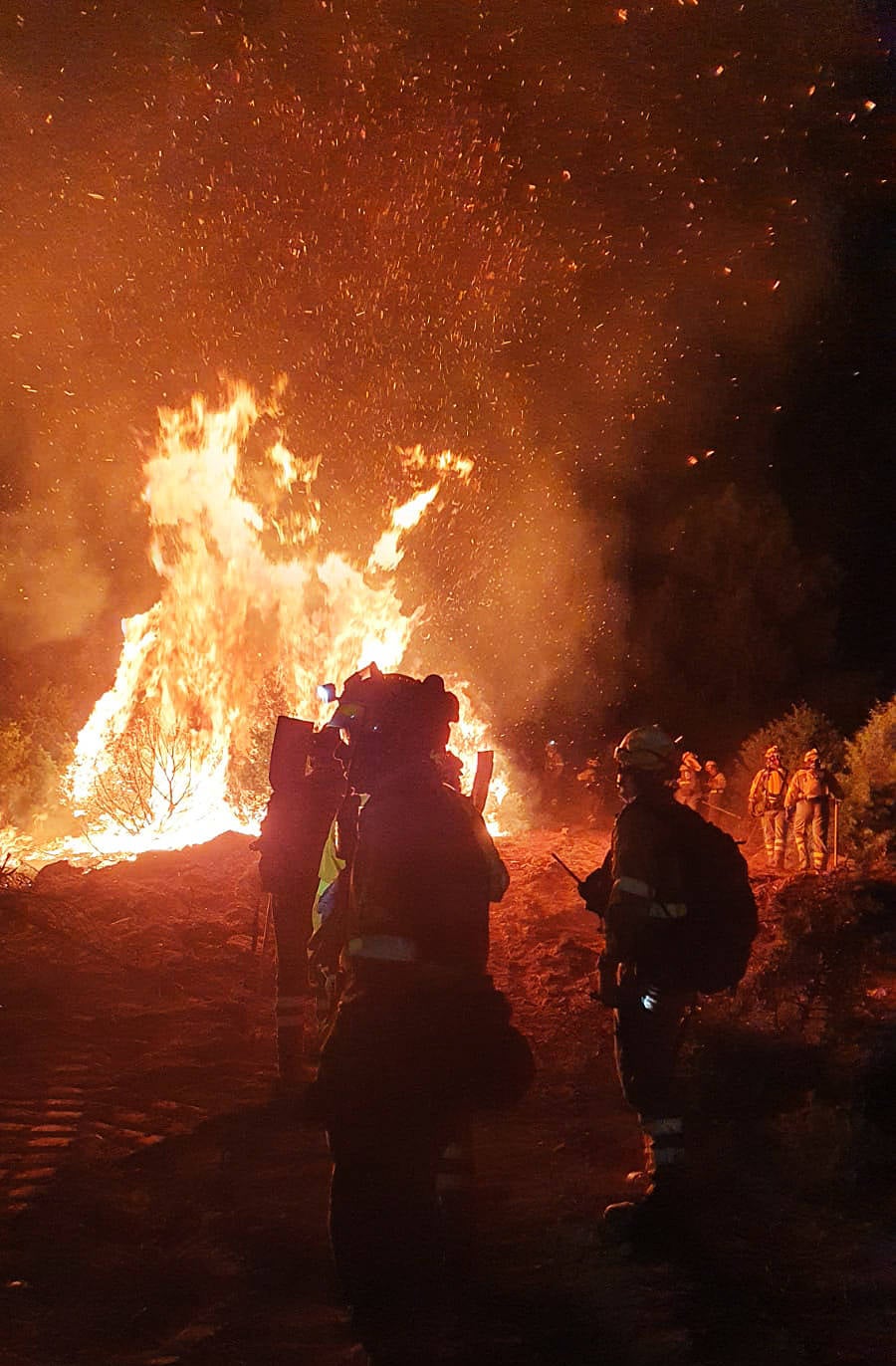 Fotos: Segundo día en el incendio de El Tiemblo, Ávila