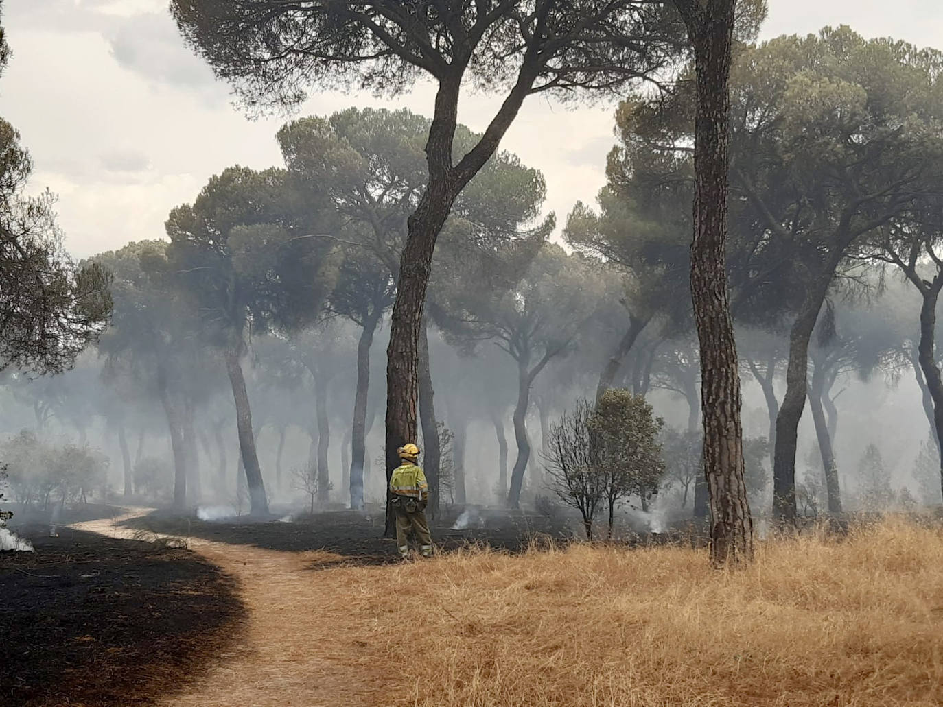 Fotos: Segundo día en el incendio de El Tiemblo, Ávila