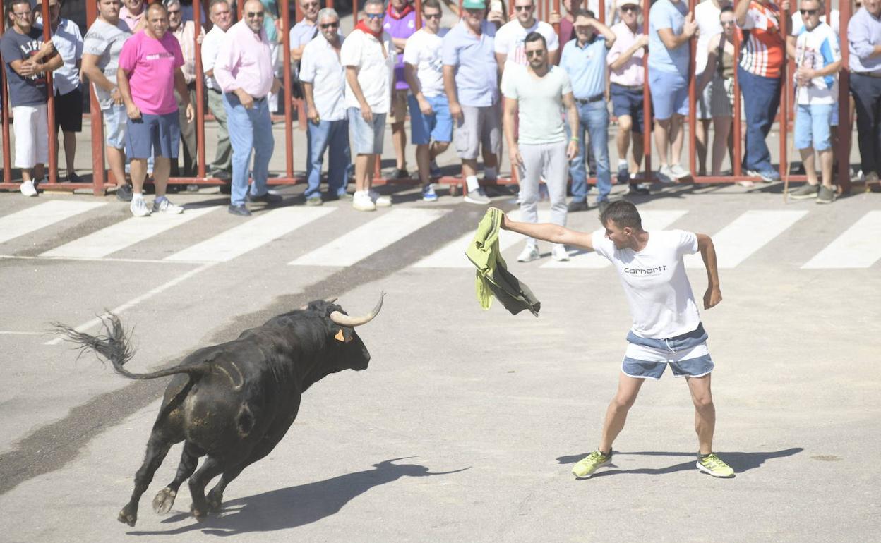 Encierro en las fiestas de Rueda, en 2019. 