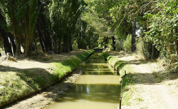 La acequia del pinar de Antequera.
