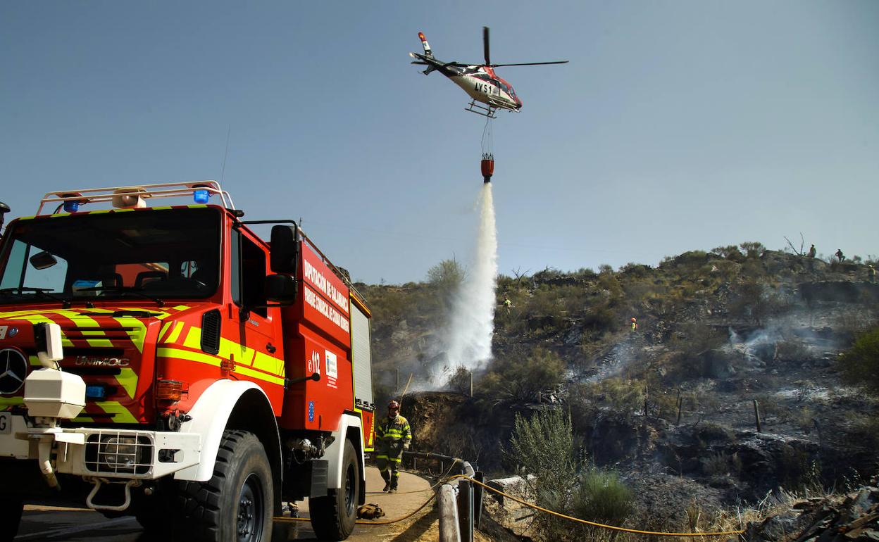 Medios aéreos y terrestres controlan las llamsa. 
