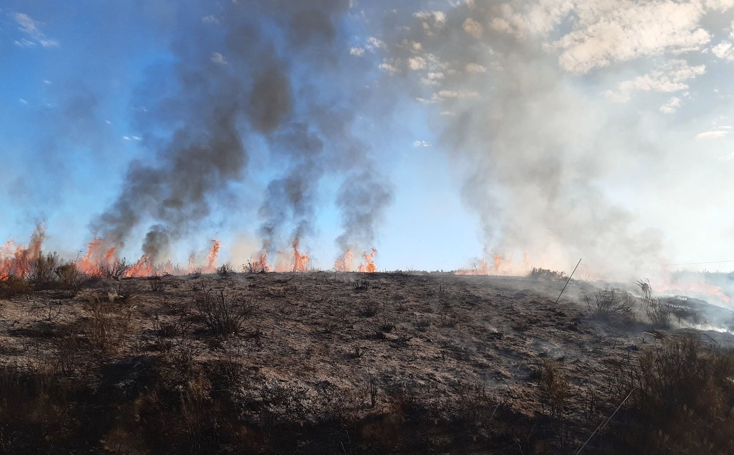 Incendio en Pedralba de la Pradería.