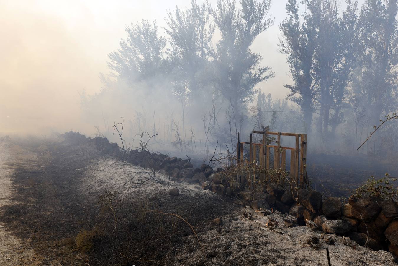 Fotos: El incendio forestal de Navalacruz obliga a desalojar varios pueblos de Ávila