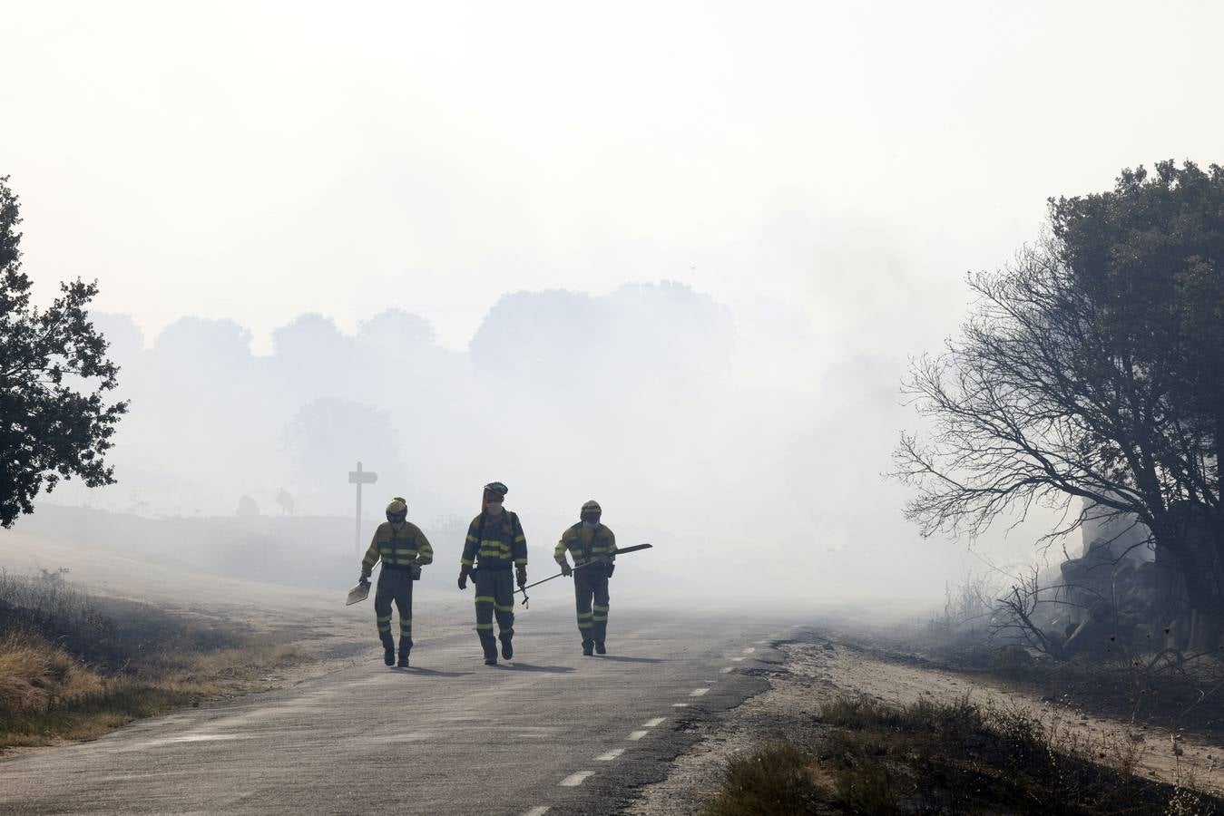 Fotos: El incendio forestal de Navalacruz obliga a desalojar varios pueblos de Ávila