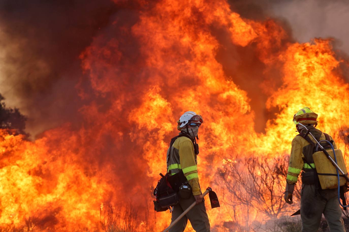 Fotos: Declarado en nivel 1 el incendio declarado en San Felices de Gallegos