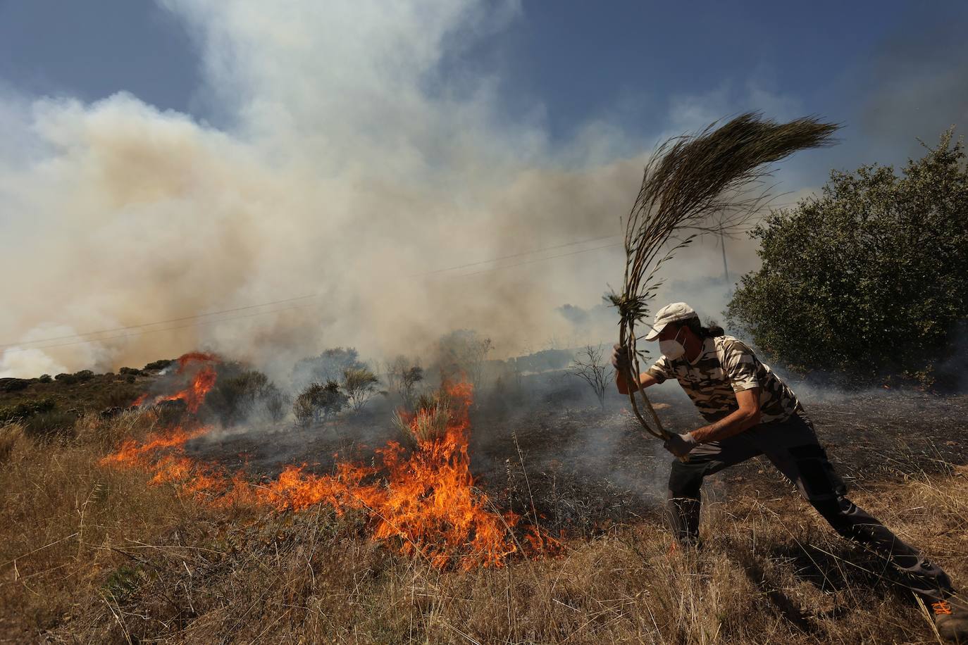 Fotos: Declarado en nivel 1 el incendio declarado en San Felices de Gallegos