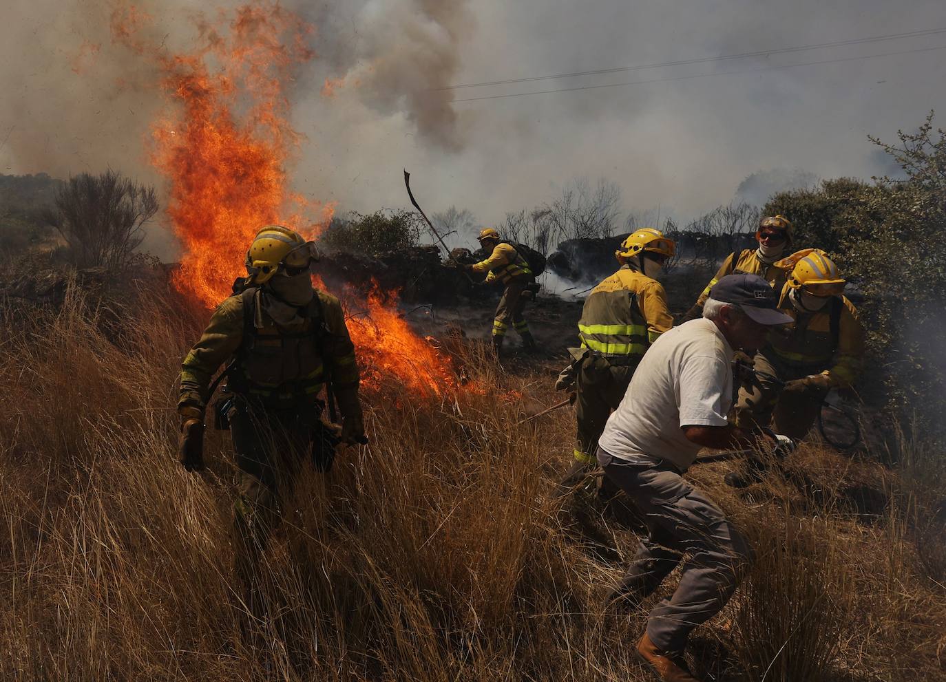 Fotos: Declarado en nivel 1 el incendio declarado en San Felices de Gallegos