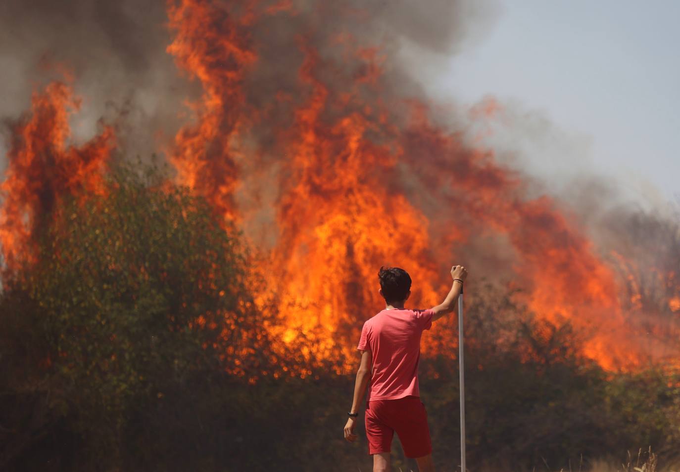 Fotos: Declarado en nivel 1 el incendio declarado en San Felices de Gallegos