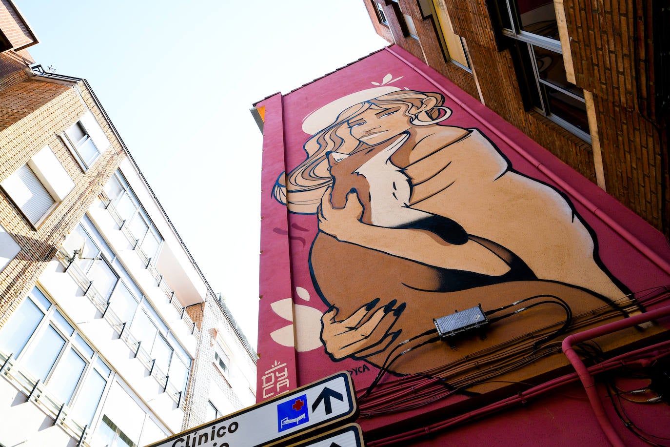 Los murales que lucen en algunas fachadas de Valladolid.