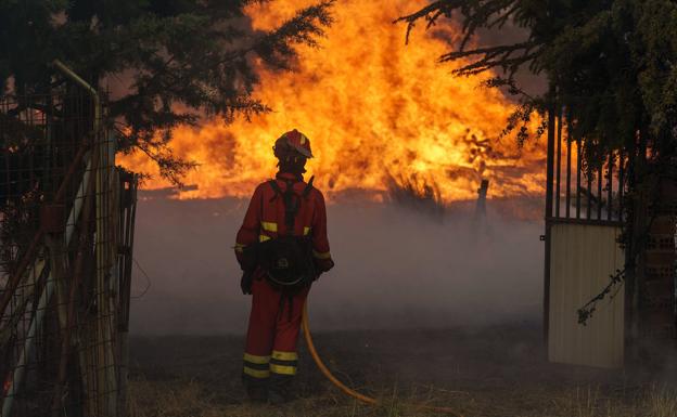 La Junta garantiza suministros en Ávila para ganaderos afectados por el incendio