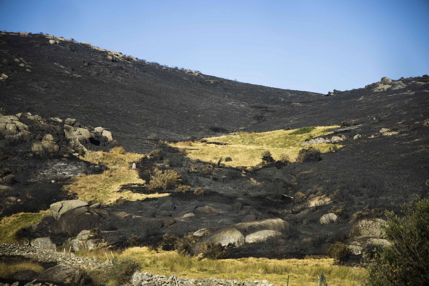 La zona afectada por el incendio de Navalacruz. 