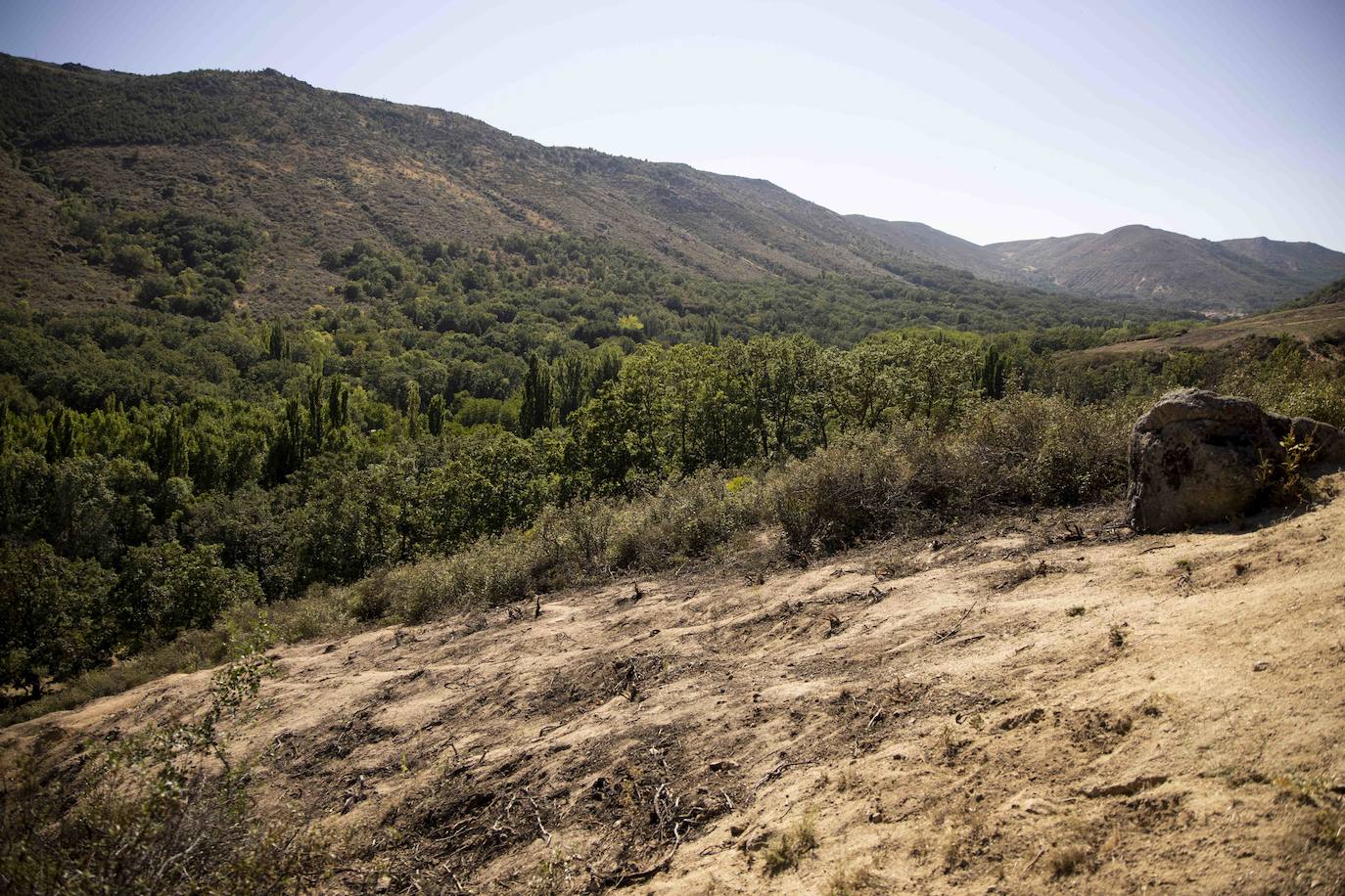 La zona afectada por el incendio de Navalacruz. 