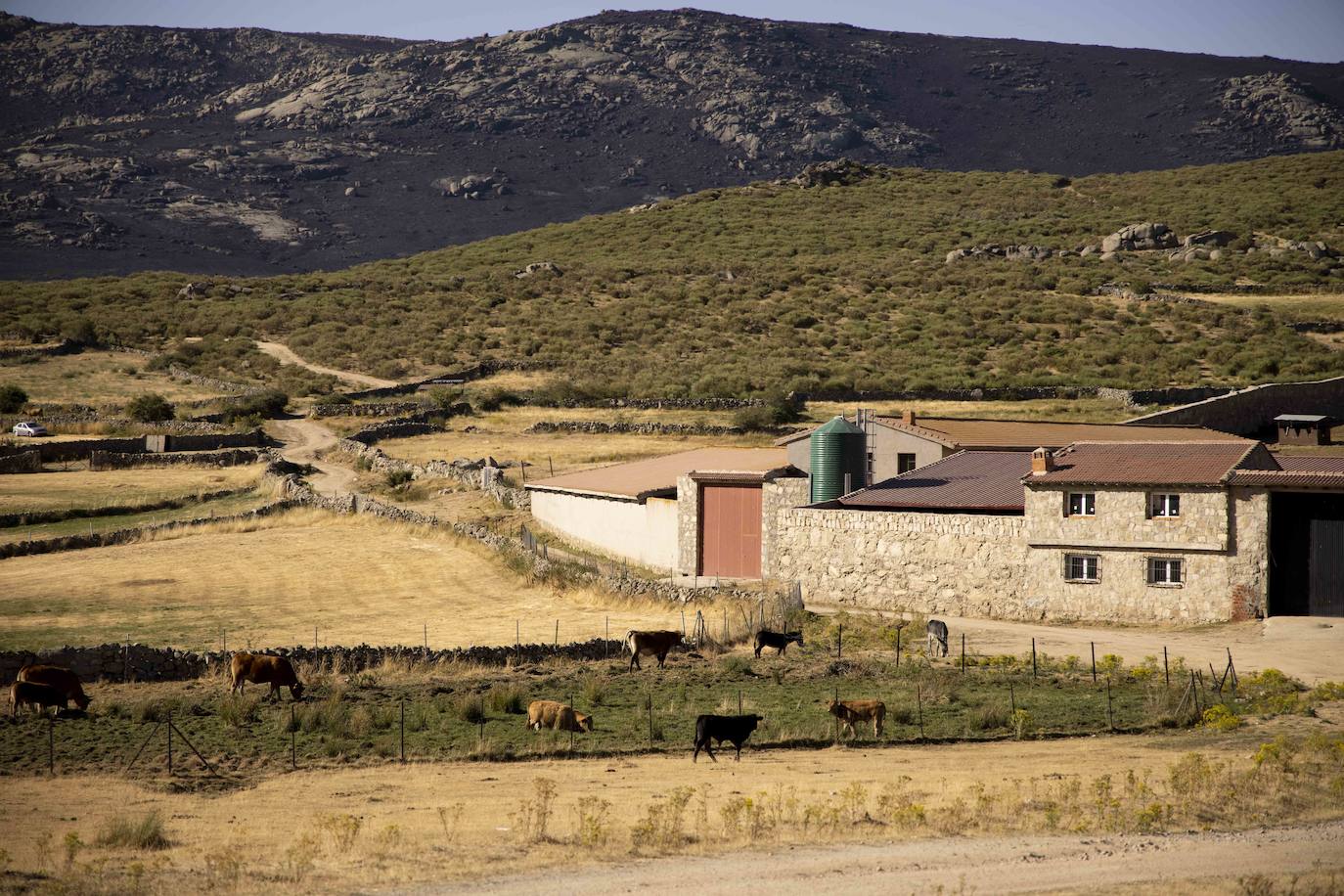 La zona afectada por el incendio de Navalacruz. 