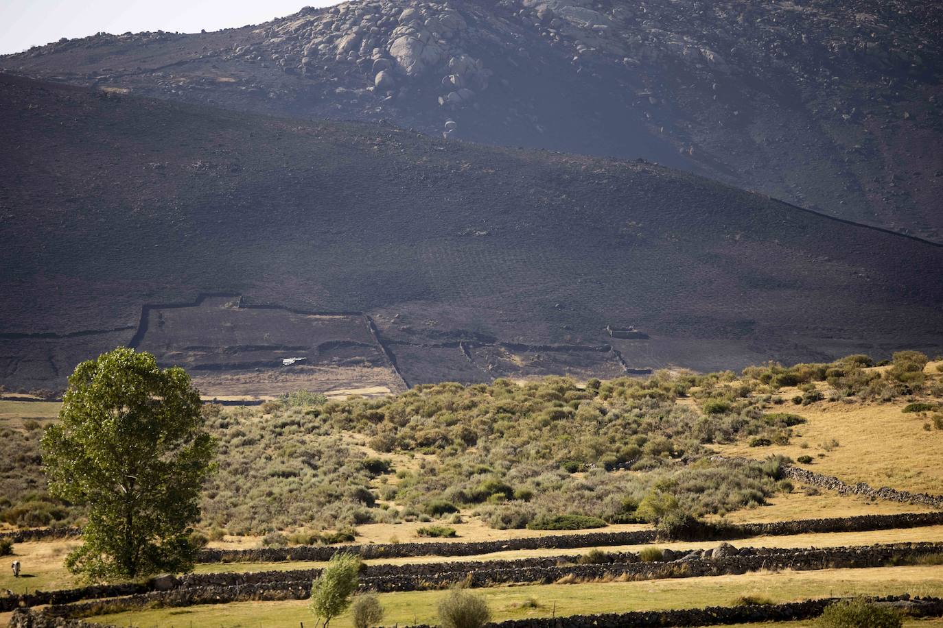 La zona afectada por el incendio de Navalacruz. 