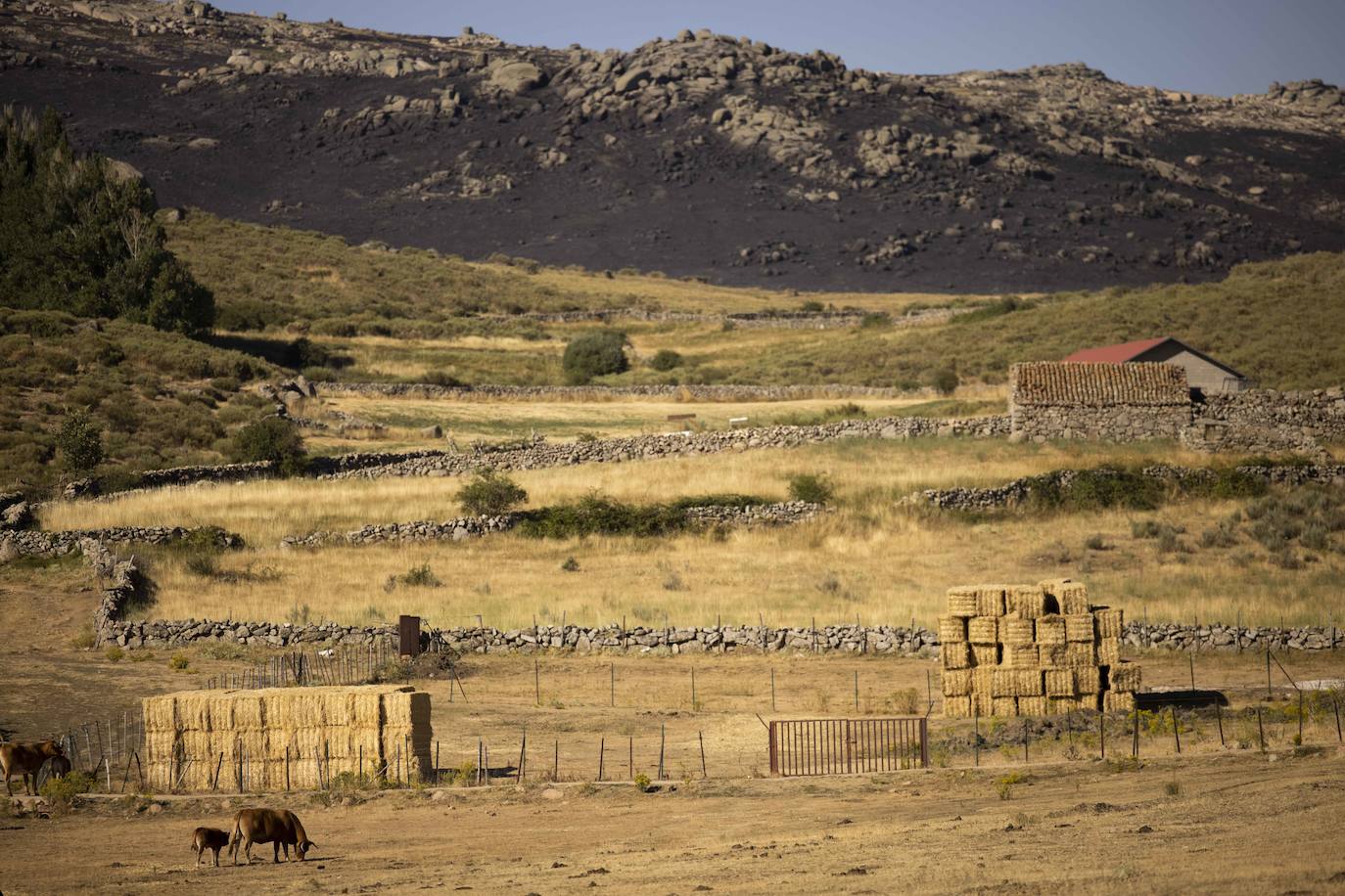 La zona afectada por las llamas, al fondo. 