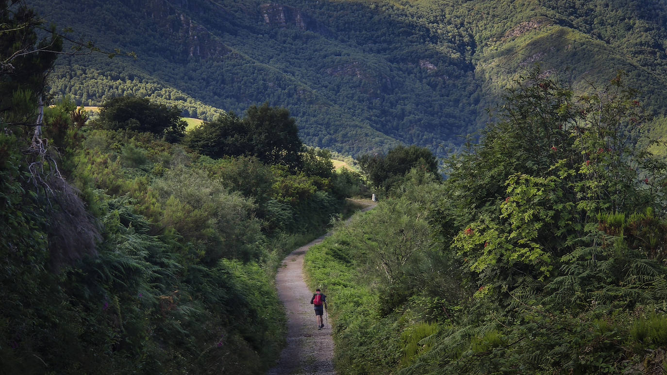 Para descender hasta Triacastela hay que bajar una cuesta pronunciada frente al monte Oribio, entre vegetación frondosa y el sempiterno trino de los pájaros.