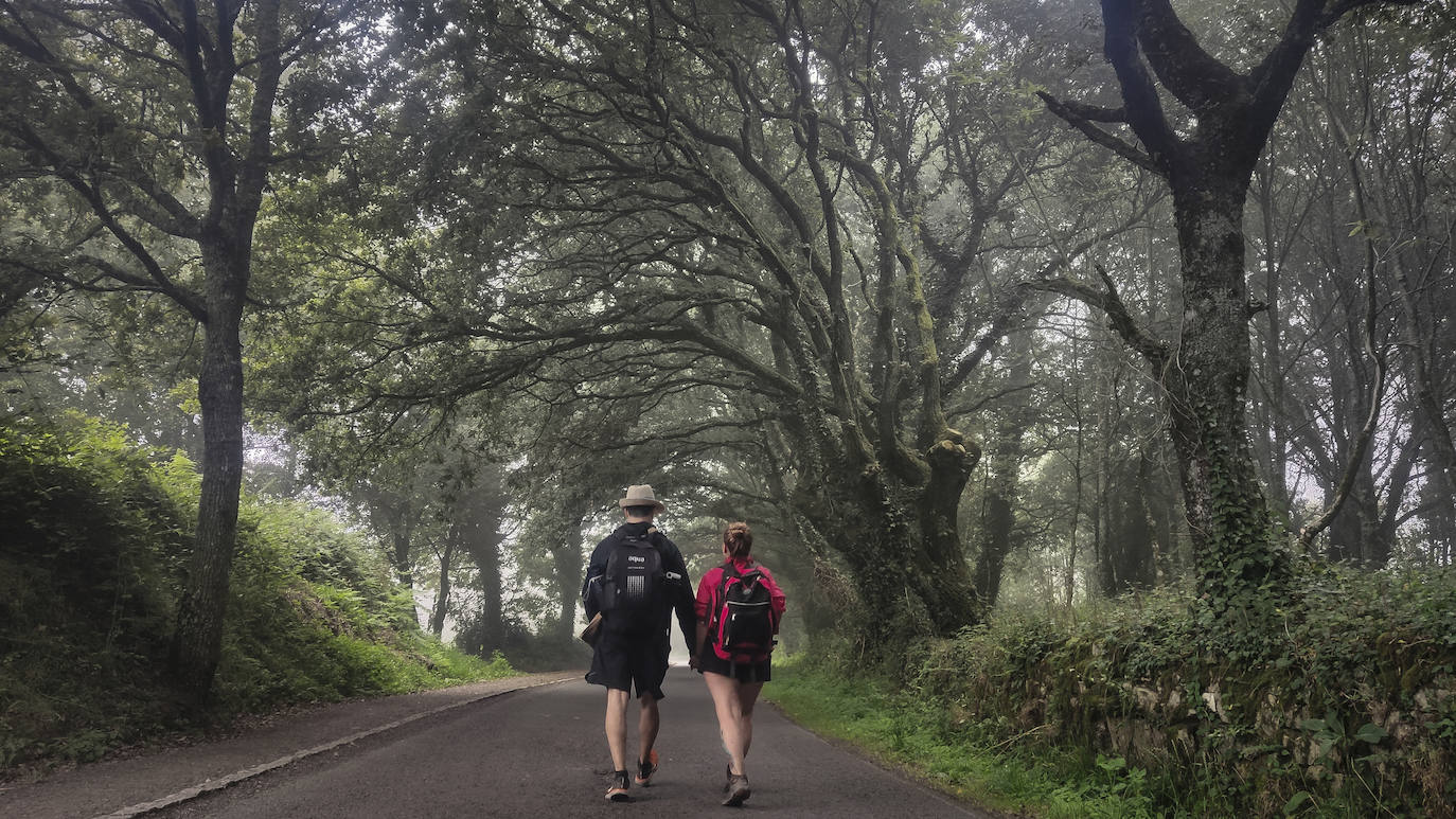 Una pareja se dirige a Palas de Rei, a punto de despedirnos de Lugo. Galicia es lo que tiene, una naturaleza desbordante que obra el efecto de dirigir la mirada al interior de cada uno.