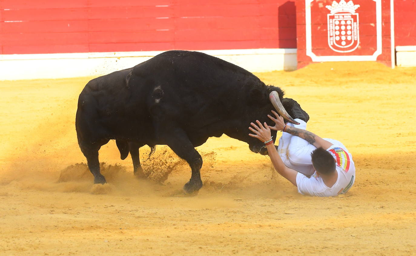 Concurso de cortes de Medina del Campo.