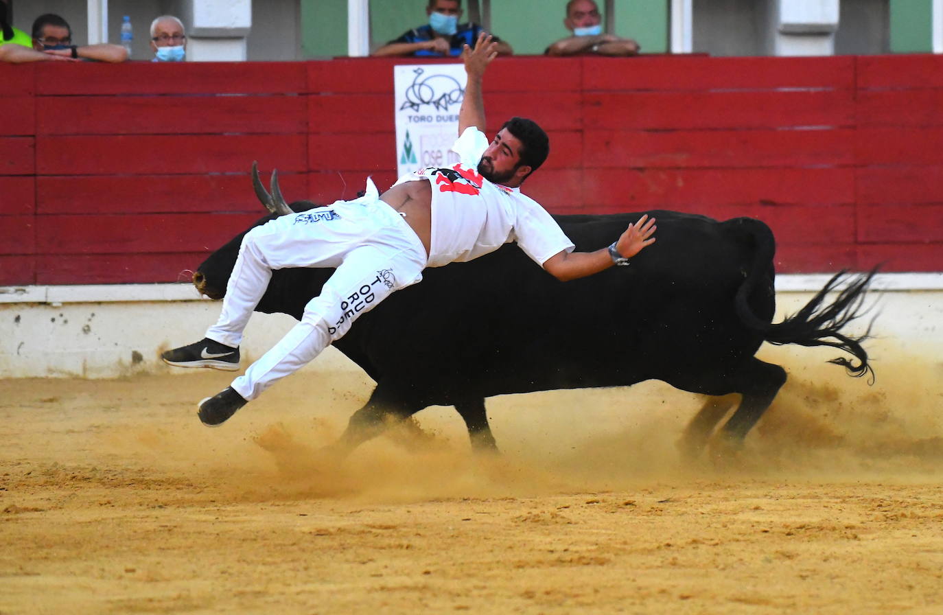 Concurso de cortes de Medina del Campo.