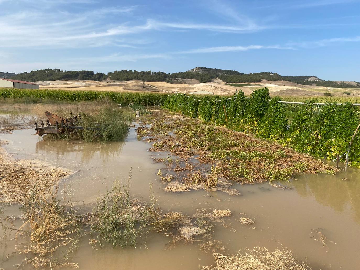 Estado de la zona afectada tras el reventón de una tubería en el canal de Riaza, en Valbuena de Duero.
