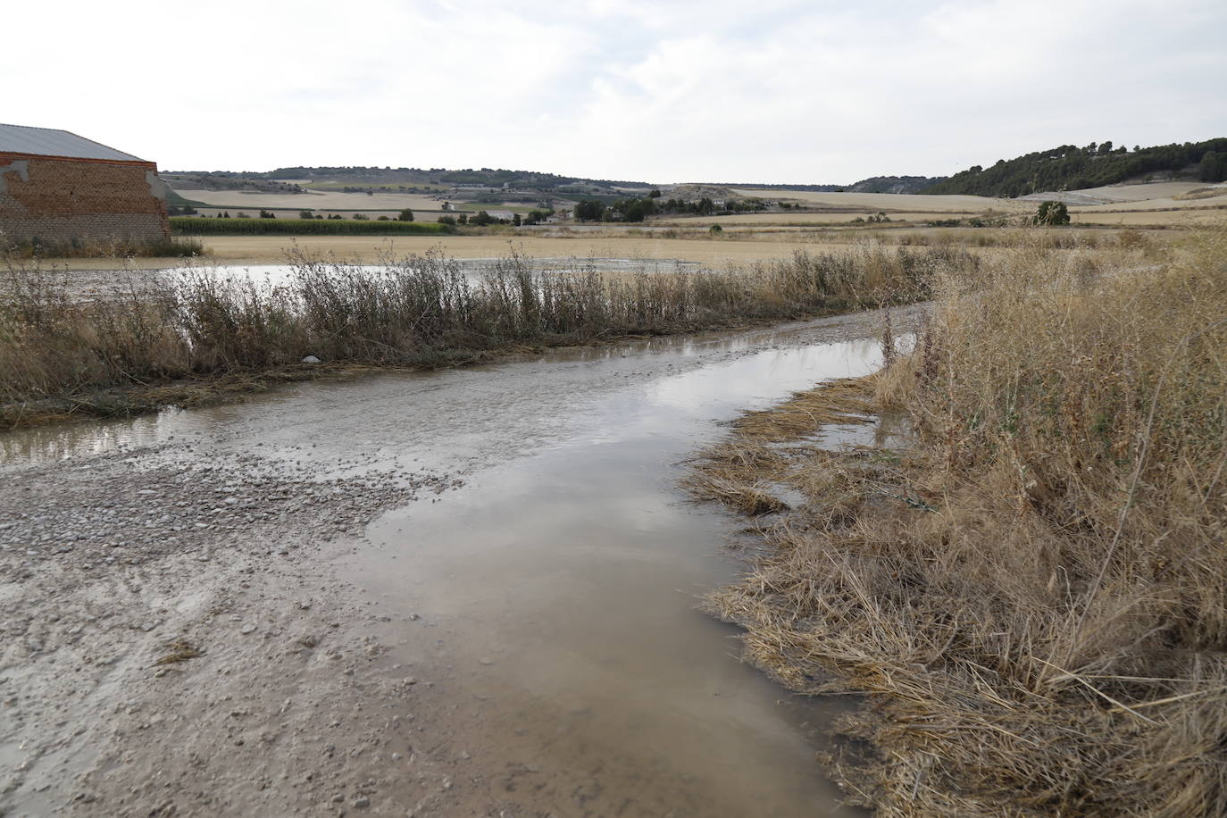 Estado de la zona afectada tras el reventón de una tubería en el canal de Riaza, en Valbuena de Duero.