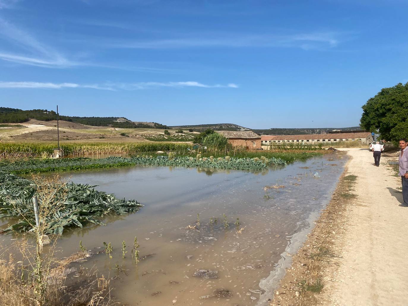 Estado de la zona afectada tras el reventón de una tubería en el canal de Riaza, en Valbuena de Duero.