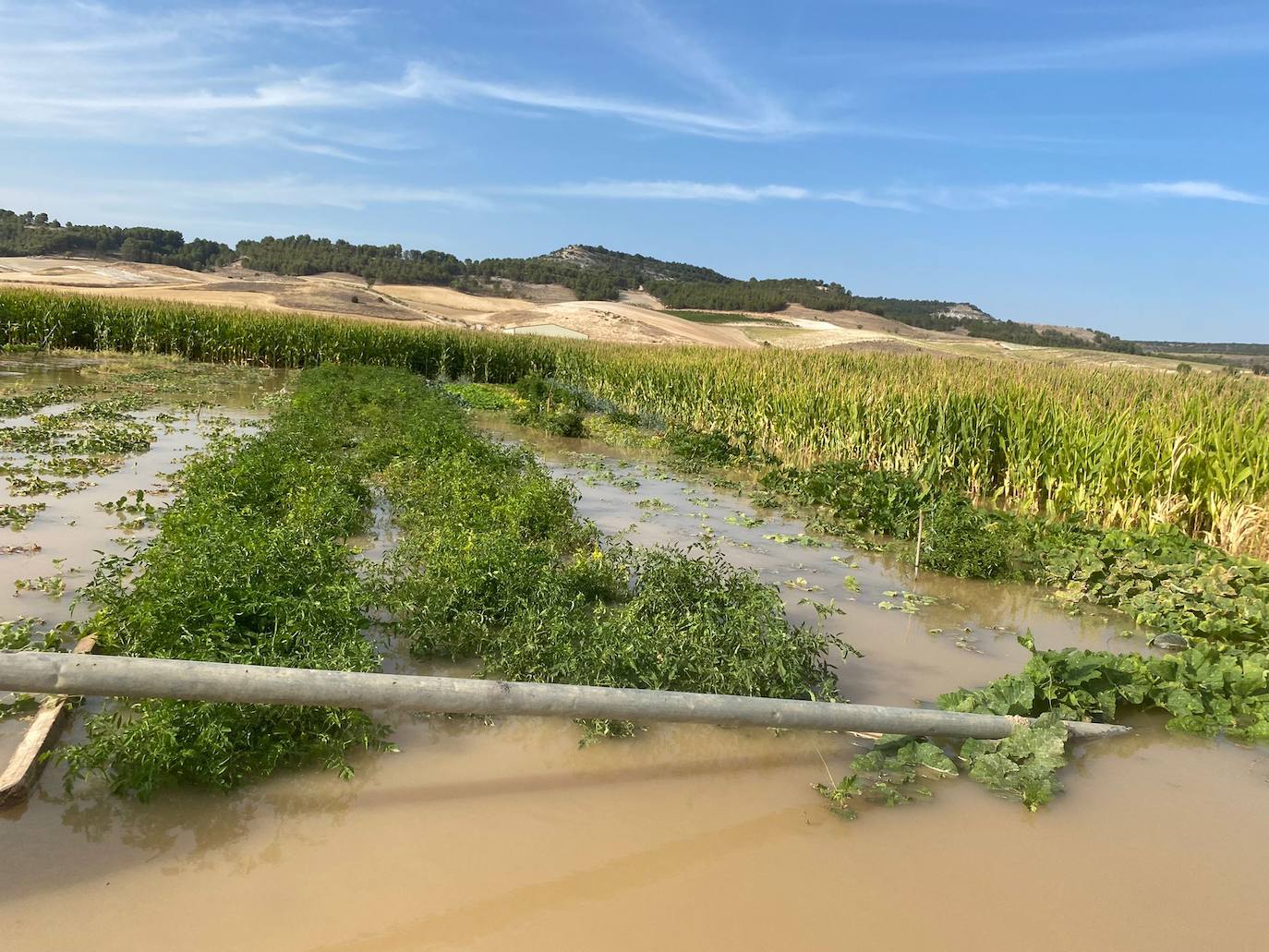 Estado de la zona afectada tras el reventón de una tubería en el canal de Riaza, en Valbuena de Duero.