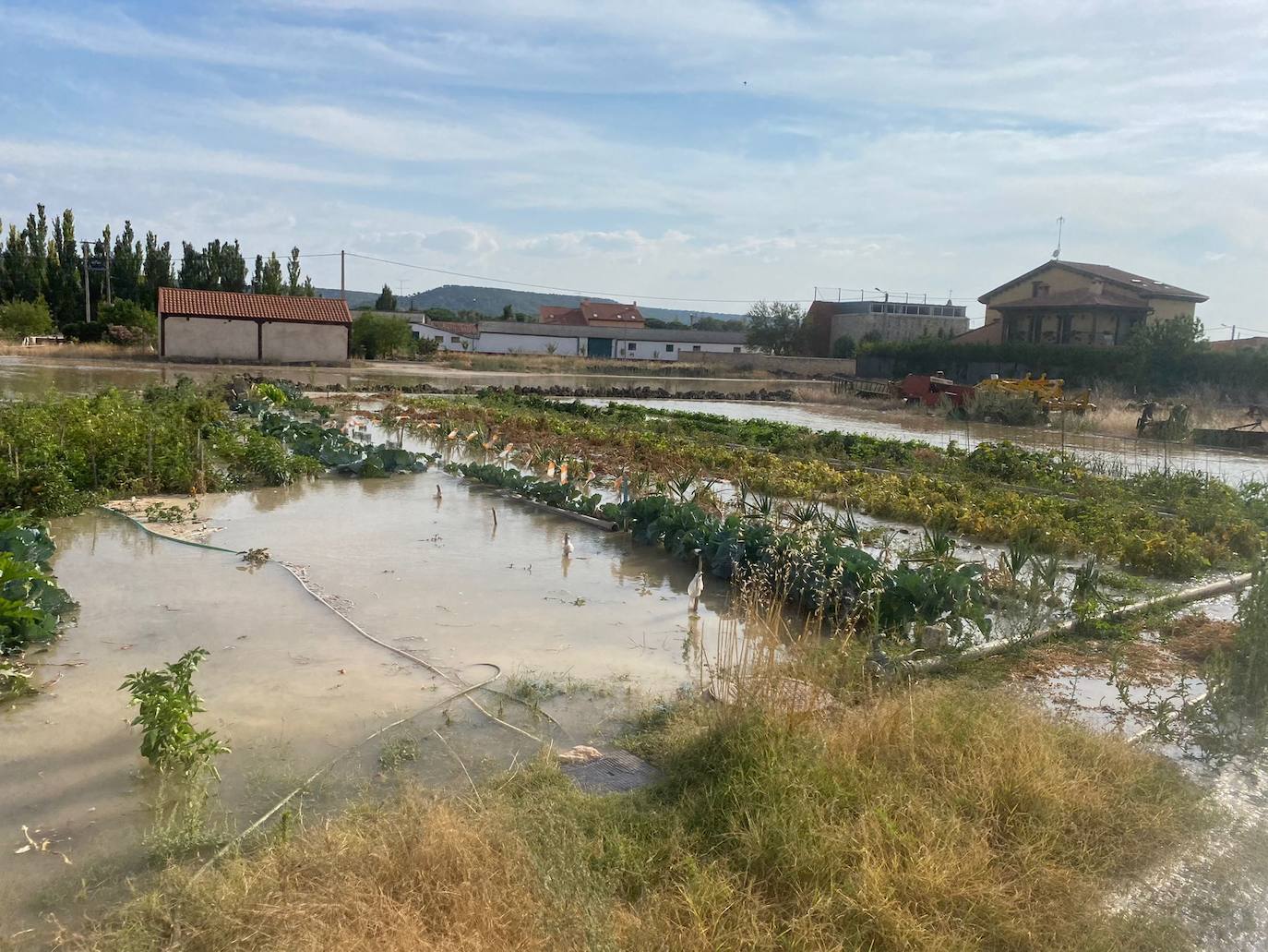 Estado de la zona afectada tras el reventón de una tubería en el canal de Riaza, en Valbuena de Duero.