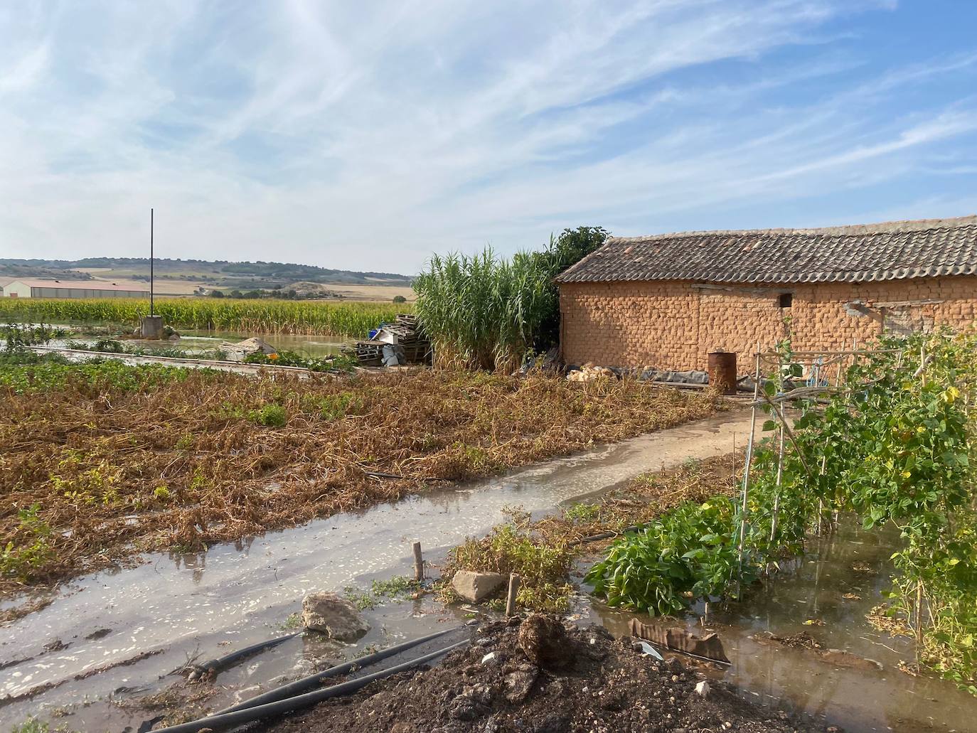 Estado de la zona afectada tras el reventón de una tubería en el canal de Riaza, en Valbuena de Duero.