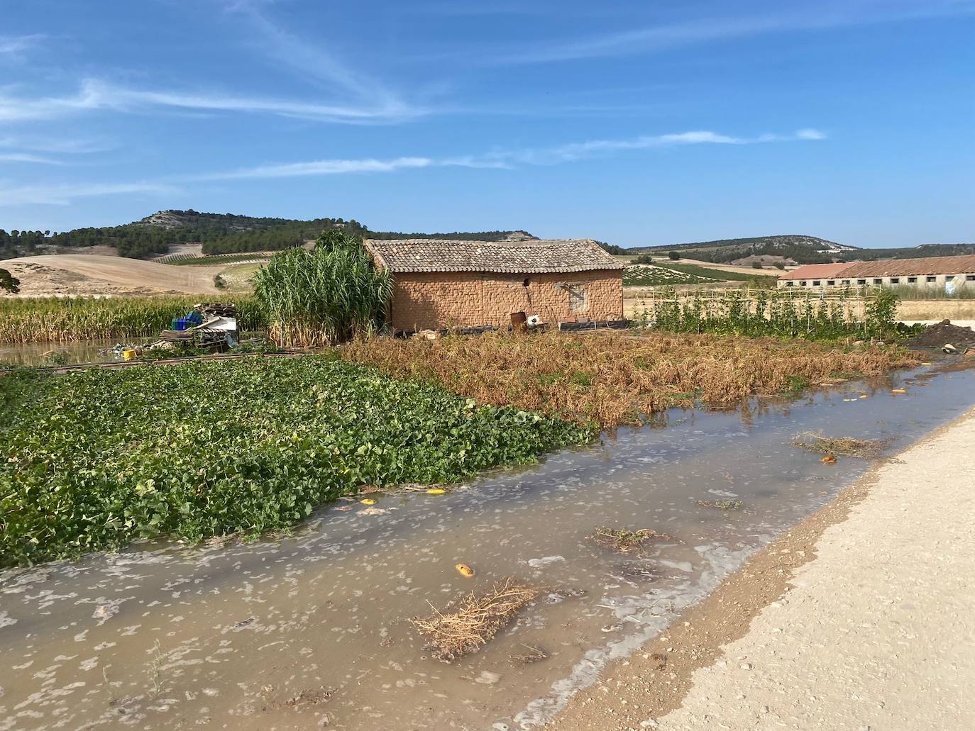 Estado de la zona afectada tras el reventón de una tubería en el canal de Riaza, en Valbuena de Duero.