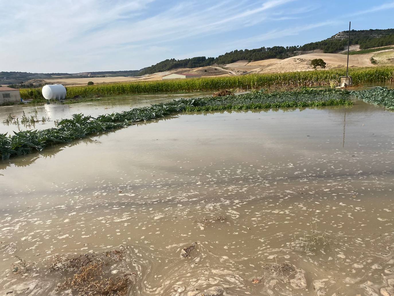Estado de la zona afectada tras el reventón de una tubería en el canal de Riaza, en Valbuena de Duero.